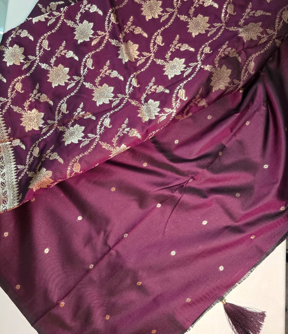 Banarasi Inspired Saree
