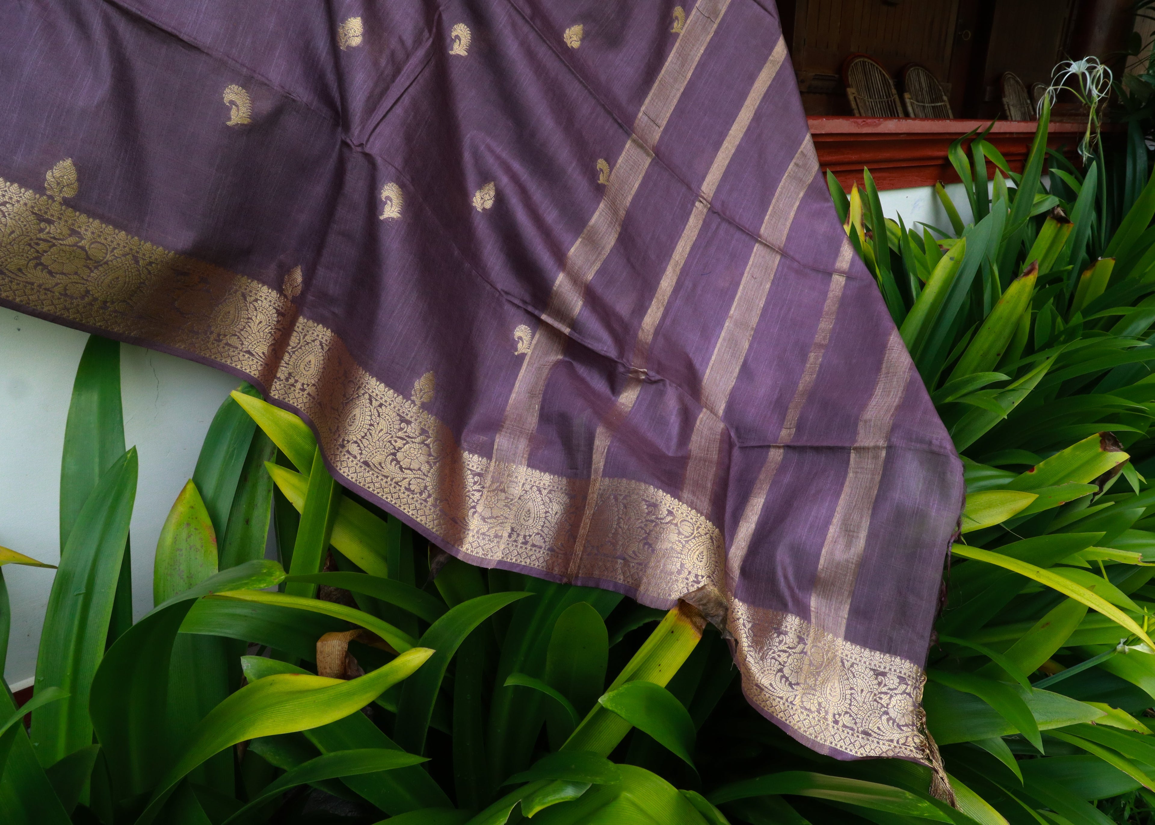 Semi Muga Tussar Silk Saree