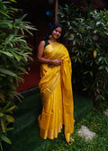 Semi Muga Tussar Silk Saree