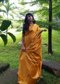 Semi Muga Tussar Silk Saree