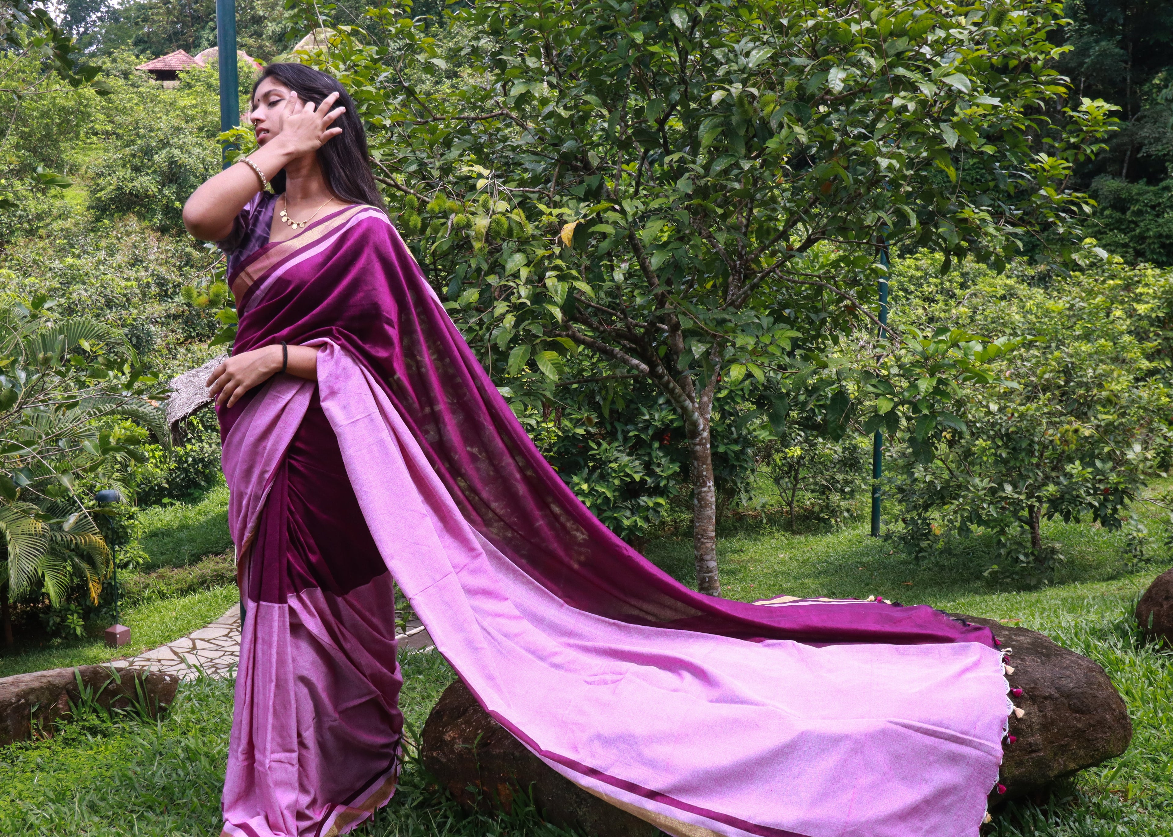 Cotton Saree