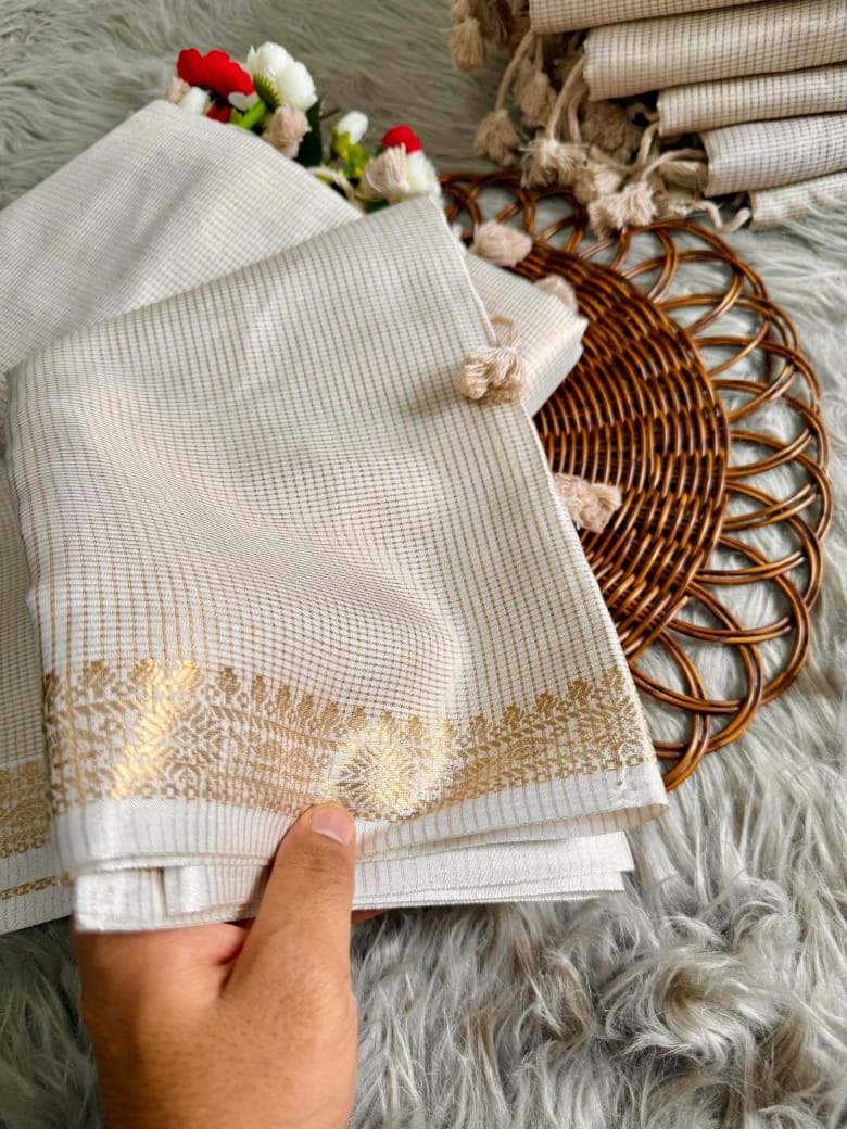 Tissue Organza saree