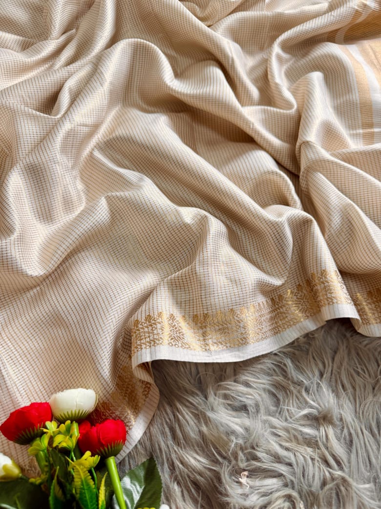 Tissue Organza saree